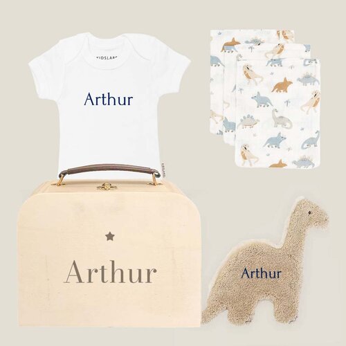 Kraamcadeau koffertje - Dino