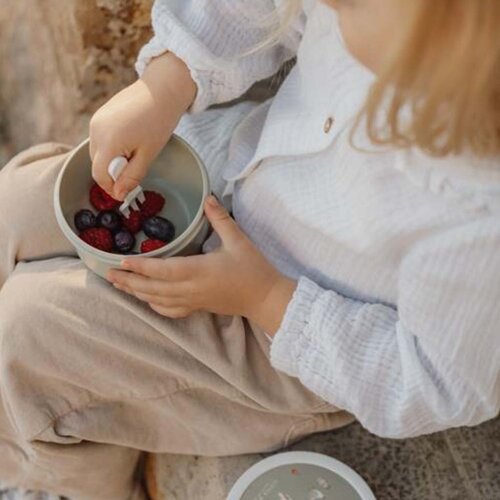 Fruitbox - Little Dutch