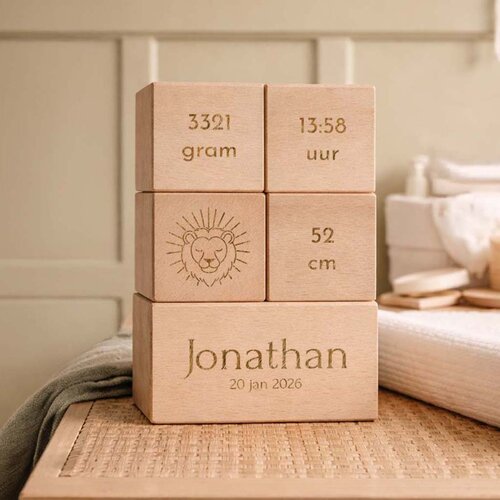 Geboorteblokken - Leeuw