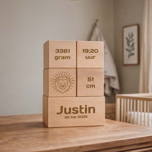 Geboorteblokken - Leeuw