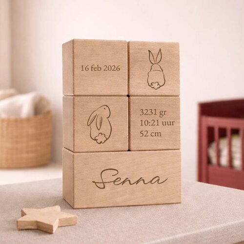 Geboorteblokken - Konijn