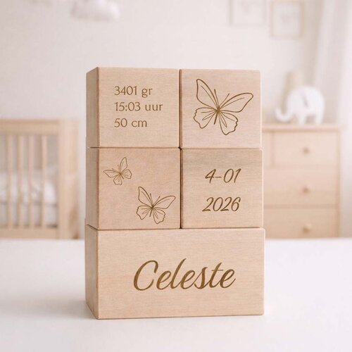 Geboorteblokken - Vlinders