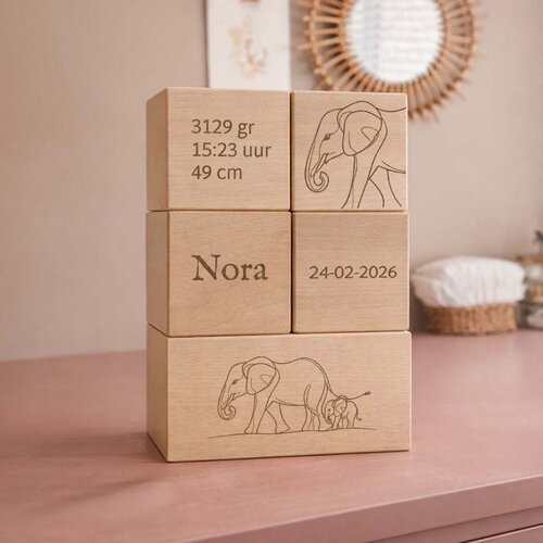 Geboorteblokken - Olifantjes