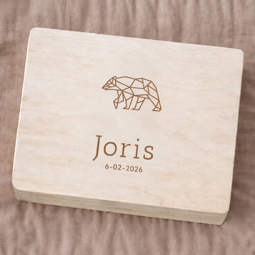 Herinneringskist - Ijsbeer