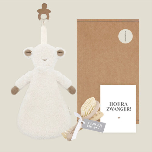 Brievenbus cadeau - Hoera zwanger!