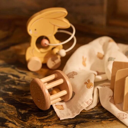 Houten Giftset - Bunny Luz - Jollein