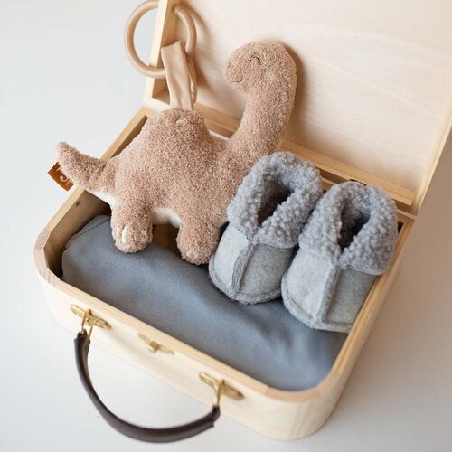 Kraamcadeau Koffer - Roarsome