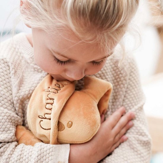 Knuffel konijn met naam