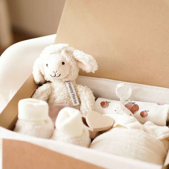 Kraamcadeau set - Lamb Leo