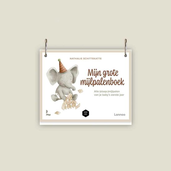 Mijn grote mijlpalenboek