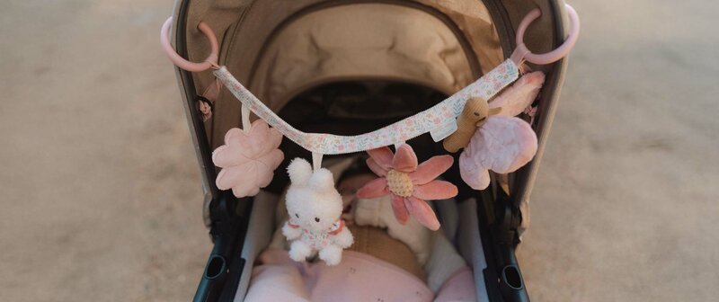 Wagenspanners en speeltjes